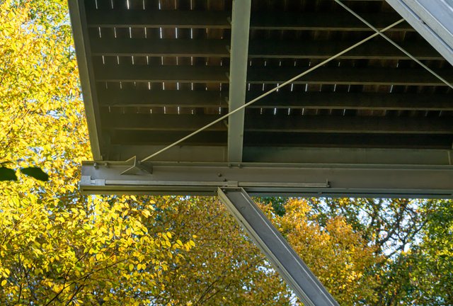 Modern Opus Exterior Detail