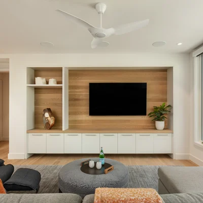 Built-In Entertainment Storage
