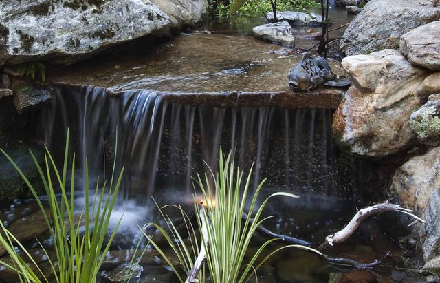Piney Knoll Paradise Waterfall