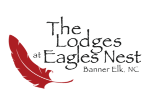 Eagles Nest Logo